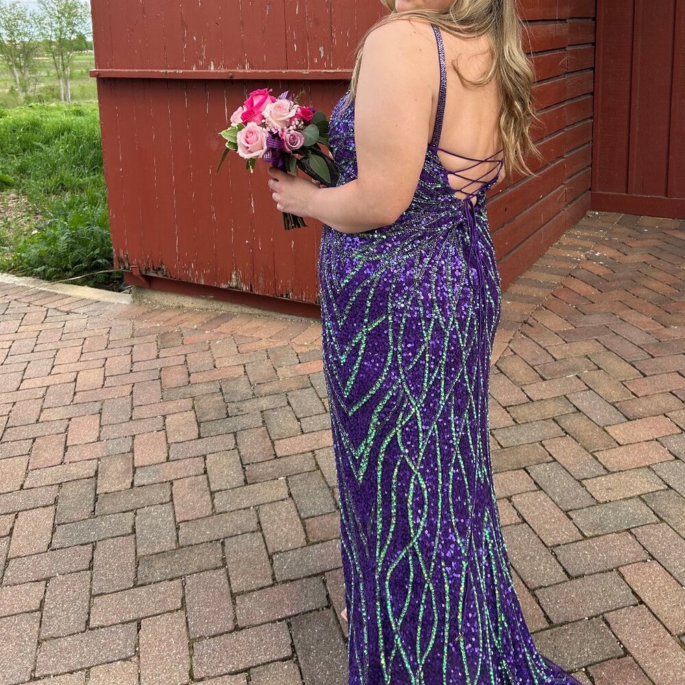 Prom Dress Beaded size 18 - Picture 3 of 3